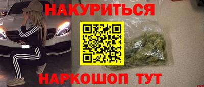 шишки Будённовск
